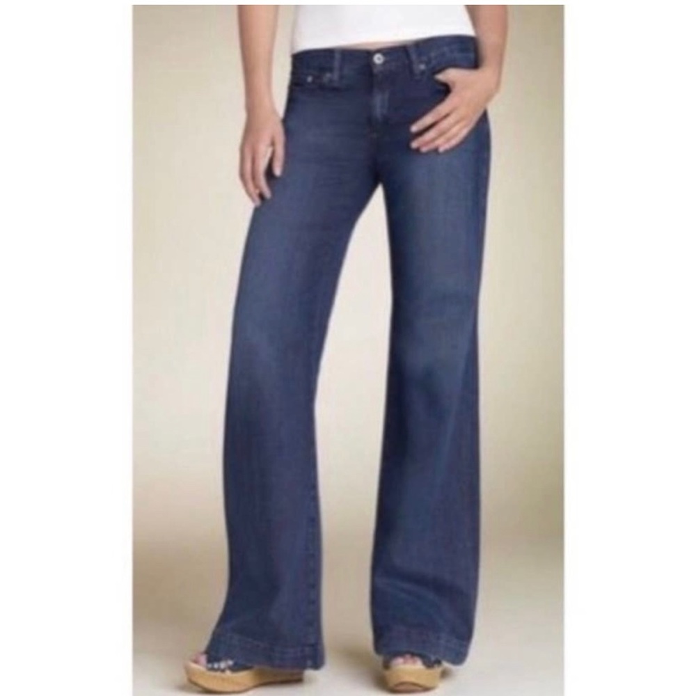 AG Adriano goldschmied the glisten wide leg Jean 26R